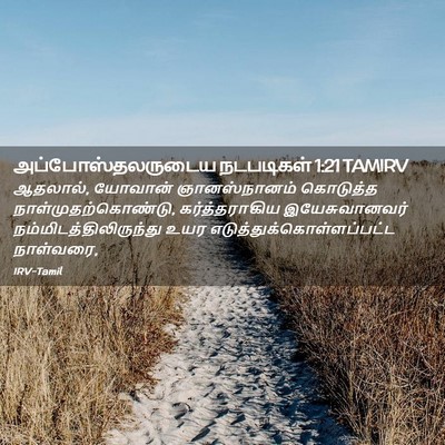 Picture 02 - அப்போஸ்தலருடைய நடபடிகள் 1:21 TAMIRV - ஆதலால், யோவான் - Bible Verse Picture