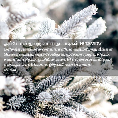 Picture 02 - அப்போஸ்தலருடைய நடபடிகள் 1:8 TAMIRV - பரிசுத்த - Bible Verse Picture
