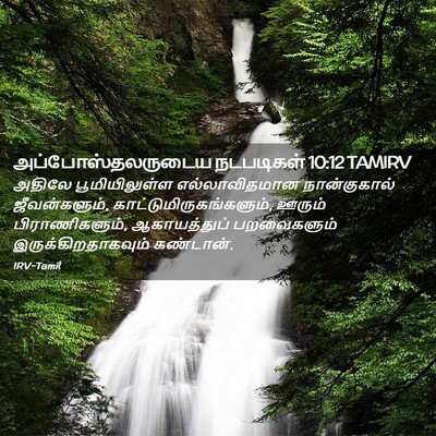 Picture 02 - அப்போஸ்தலருடைய நடபடிகள் 10:12 TAMIRV - அதிலே பூமியிலுள்ள - Bible Verse Picture