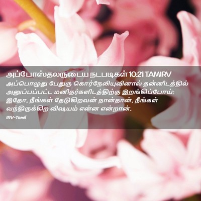 Picture 02 - அப்போஸ்தலருடைய நடபடிகள் 10:21 TAMIRV - அப்பொழுது பேதுரு - Bible Verse Picture