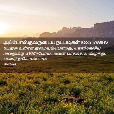 Picture 02 - அப்போஸ்தலருடைய நடபடிகள் 10:25 TAMIRV - பேதுரு உள்ளே - Bible Verse Picture