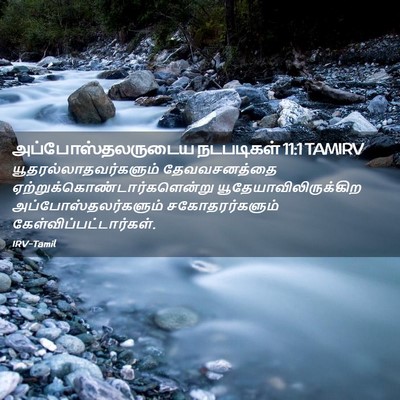 Picture 02 - அப்போஸ்தலருடைய நடபடிகள் 11:1 TAMIRV -  - Bible Verse Picture