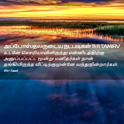 Picture 02 - அப்போஸ்தலருடைய நடபடிகள் 11:11 TAMIRV - உடனே - Bible Verse Picture