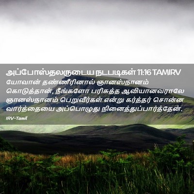 Picture 02 - அப்போஸ்தலருடைய நடபடிகள் 11:16 TAMIRV - யோவான் - Bible Verse Picture