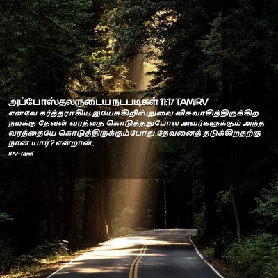 Picture 02 - அப்போஸ்தலருடைய நடபடிகள் 11:17 TAMIRV - எனவே கர்த்தராகிய - Bible Verse Picture