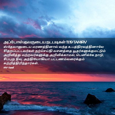 Picture 02 - அப்போஸ்தலருடைய நடபடிகள் 11:19 TAMIRV - ஸ்தேவானுடைய - Bible Verse Picture