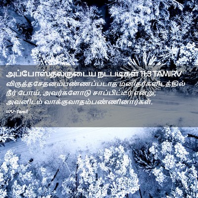 Picture 02 - அப்போஸ்தலருடைய நடபடிகள் 11:3 TAMIRV -  - Bible Verse Picture
