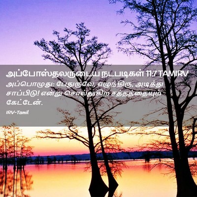Picture 02 - அப்போஸ்தலருடைய நடபடிகள் 11:7 TAMIRV - அப்பொழுது: - Bible Verse Picture