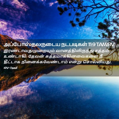 Picture 02 - அப்போஸ்தலருடைய நடபடிகள் 11:9 TAMIRV -  - Bible Verse Picture