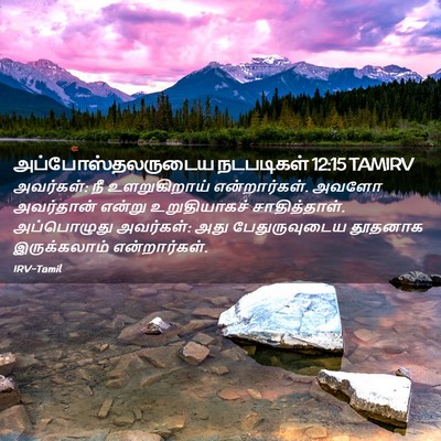Picture 02 - அப்போஸ்தலருடைய நடபடிகள் 12:15 TAMIRV - அவர்கள்: நீ - Bible Verse Picture