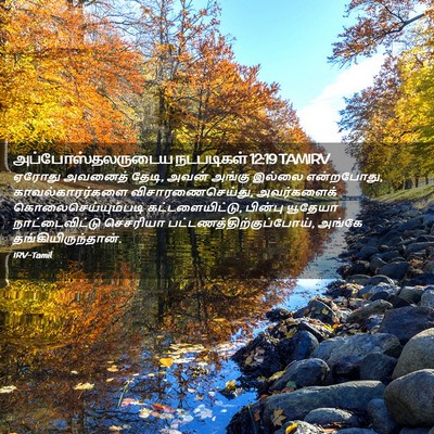 Picture 02 - அப்போஸ்தலருடைய நடபடிகள் 12:19 TAMIRV - ஏரோது அவனைத் தேடி, - Bible Verse Picture
