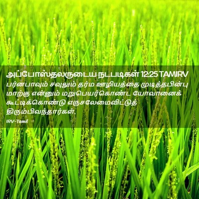 Picture 02 - அப்போஸ்தலருடைய நடபடிகள் 12:25 TAMIRV - பர்னபாவும் - Bible Verse Picture