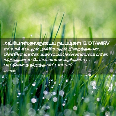 Picture 02 - அப்போஸ்தலருடைய நடபடிகள் 13:10 TAMIRV - எல்லாக் கபடமும் - Bible Verse Picture