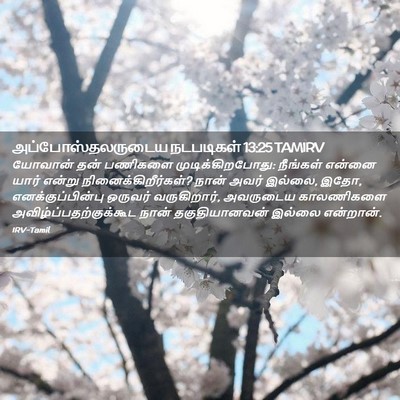Picture 02 - அப்போஸ்தலருடைய நடபடிகள் 13:25 TAMIRV - யோவான் தன் பணிகளை - Bible Verse Picture