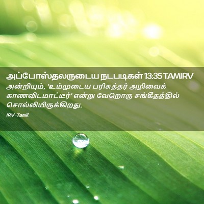 Picture 02 - அப்போஸ்தலருடைய நடபடிகள் 13:35 TAMIRV - அன்றியும், - Bible Verse Picture