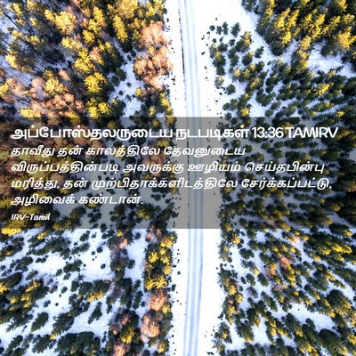 Picture 02 - அப்போஸ்தலருடைய நடபடிகள் 13:36 TAMIRV - தாவீது தன் - Bible Verse Picture