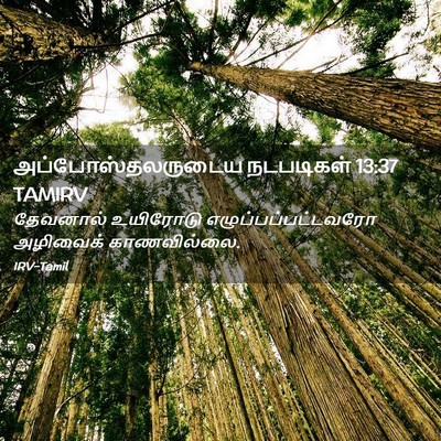 Picture 02 - அப்போஸ்தலருடைய நடபடிகள் 13:37 TAMIRV - தேவனால் உயிரோடு - Bible Verse Picture