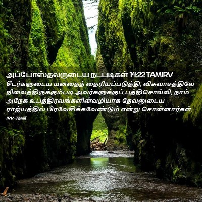Picture 02 - அப்போஸ்தலருடைய நடபடிகள் 14:22 TAMIRV - சீடர்களுடைய - Bible Verse Picture