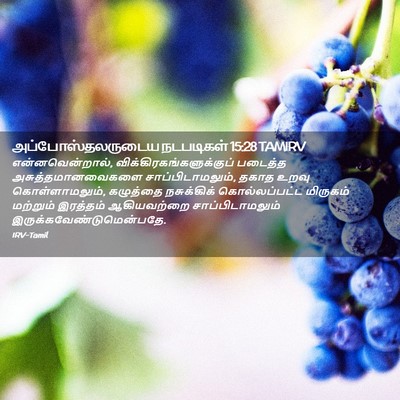 Picture 02 - அப்போஸ்தலருடைய நடபடிகள் 15:28 TAMIRV - என்னவென்றால், - Bible Verse Picture