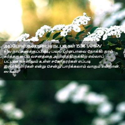 Picture 02 - அப்போஸ்தலருடைய நடபடிகள் 15:36 TAMIRV - சில - Bible Verse Picture