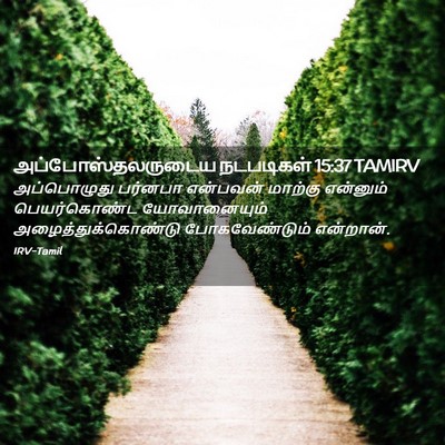Picture 02 - அப்போஸ்தலருடைய நடபடிகள் 15:37 TAMIRV - அப்பொழுது பர்னபா - Bible Verse Picture