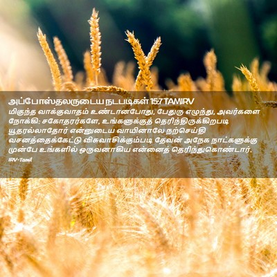 Picture 02 - அப்போஸ்தலருடைய நடபடிகள் 15:7 TAMIRV - மிகுந்த - Bible Verse Picture