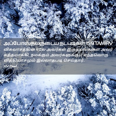 Picture 02 - அப்போஸ்தலருடைய நடபடிகள் 15:9 TAMIRV - விசுவாசத்தினாலே - Bible Verse Picture