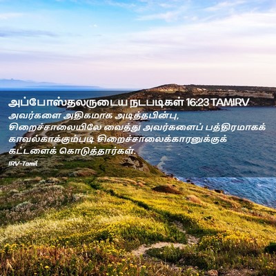 Picture 02 - அப்போஸ்தலருடைய நடபடிகள் 16:23 TAMIRV - அவர்களை அதிகமாக - Bible Verse Picture