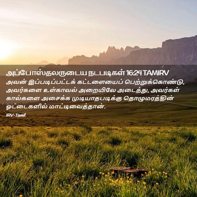Picture 02 - அப்போஸ்தலருடைய நடபடிகள் 16:24 TAMIRV - அவன் - Bible Verse Picture