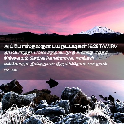 Picture 02 - அப்போஸ்தலருடைய நடபடிகள் 16:28 TAMIRV - அப்பொழுது, பவுல் - Bible Verse Picture