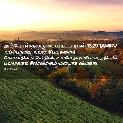 Picture 02 - அப்போஸ்தலருடைய நடபடிகள் 16:29 TAMIRV - அப்பொழுது அவன் - Bible Verse Picture