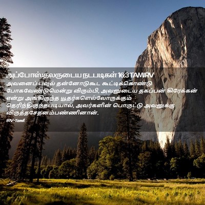 Picture 02 - அப்போஸ்தலருடைய நடபடிகள் 16:3 TAMIRV - அவனைப் பவுல் - Bible Verse Picture