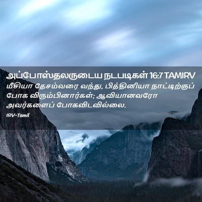 Picture 02 - அப்போஸ்தலருடைய நடபடிகள் 16:7 TAMIRV - மீசியா தேசம்வரை - Bible Verse Picture