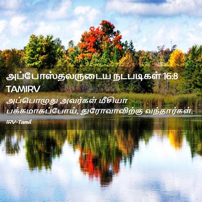 Picture 02 - அப்போஸ்தலருடைய நடபடிகள் 16:8 TAMIRV - அப்பொழுது அவர்கள் - Bible Verse Picture