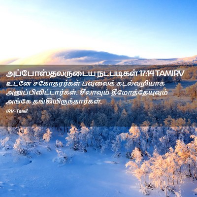 Picture 02 - அப்போஸ்தலருடைய நடபடிகள் 17:14 TAMIRV - உடனே சகோதரர்கள் - Bible Verse Picture