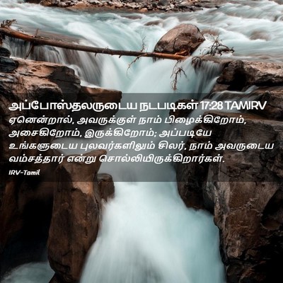 Picture 02 - அப்போஸ்தலருடைய நடபடிகள் 17:28 TAMIRV - ஏனென்றால், - Bible Verse Picture