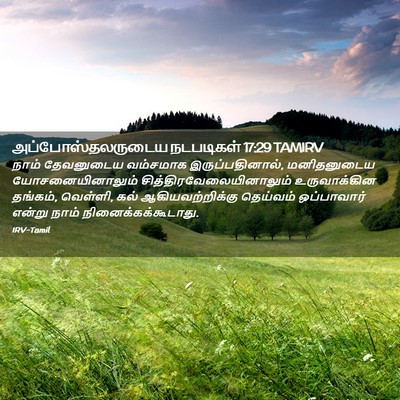 Picture 02 - அப்போஸ்தலருடைய நடபடிகள் 17:29 TAMIRV - நாம் தேவனுடைய - Bible Verse Picture