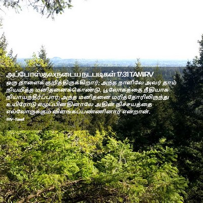 Picture 02 - அப்போஸ்தலருடைய நடபடிகள் 17:31 TAMIRV - ஒரு நாளைக் - Bible Verse Picture