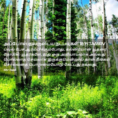 Picture 02 - அப்போஸ்தலருடைய நடபடிகள் 18:14 TAMIRV - பவுல் பேச - Bible Verse Picture