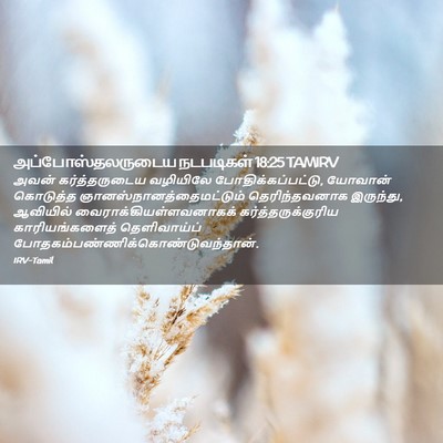 Picture 02 - அப்போஸ்தலருடைய நடபடிகள் 18:25 TAMIRV - அவன் கர்த்தருடைய - Bible Verse Picture
