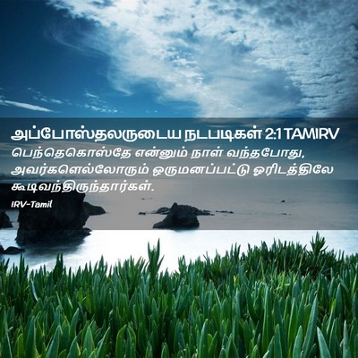 Picture 02 - அப்போஸ்தலருடைய நடபடிகள் 2:1 TAMIRV - பெந்தெகொஸ்தே - Bible Verse Picture