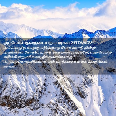 Picture 02 - அப்போஸ்தலருடைய நடபடிகள் 2:14 TAMIRV - அப்பொழுது பேதுரு - Bible Verse Picture