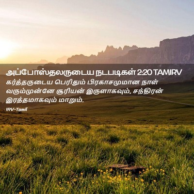 Picture 02 - அப்போஸ்தலருடைய நடபடிகள் 2:20 TAMIRV - கர்த்தருடைய - Bible Verse Picture