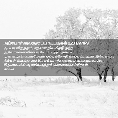 Picture 02 - அப்போஸ்தலருடைய நடபடிகள் 2:23 TAMIRV - அப்படியிருந்தும், - Bible Verse Picture