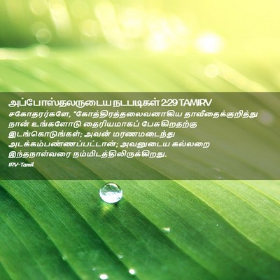 Picture 02 - அப்போஸ்தலருடைய நடபடிகள் 2:29 TAMIRV - சகோதரர்களே, - Bible Verse Picture