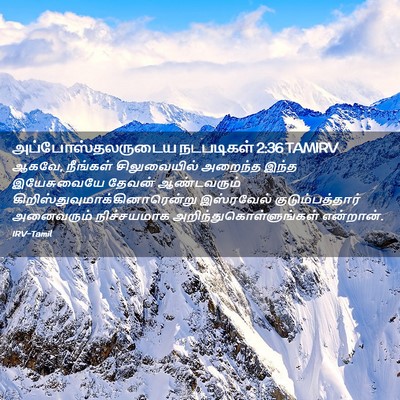 Picture 02 - அப்போஸ்தலருடைய நடபடிகள் 2:36 TAMIRV - ஆகவே, நீங்கள் - Bible Verse Picture