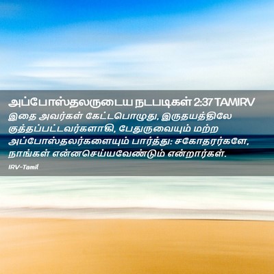Picture 02 - அப்போஸ்தலருடைய நடபடிகள் 2:37 TAMIRV - இதை அவர்கள் - Bible Verse Picture