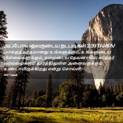Picture 02 - அப்போஸ்தலருடைய நடபடிகள் 2:39 TAMIRV -  - Bible Verse Picture
