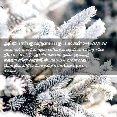 Picture 02 - அப்போஸ்தலருடைய நடபடிகள் 2:4 TAMIRV - அவர்களெல்லோரும் - Bible Verse Picture