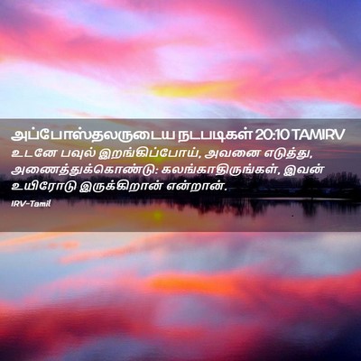 Picture 02 - அப்போஸ்தலருடைய நடபடிகள் 20:10 TAMIRV - உடனே பவுல் - Bible Verse Picture